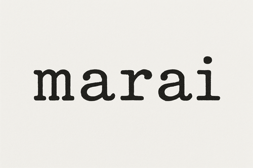 could it be typewritter font